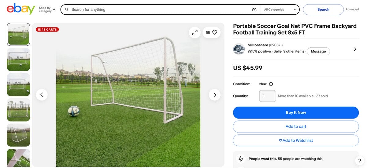 eBay Portable Soccer Goal